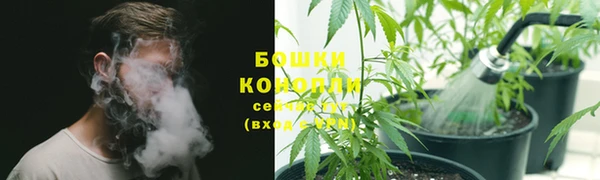 мяу мяу мука Михайлов