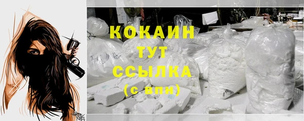 мяу мяу мука Михайлов
