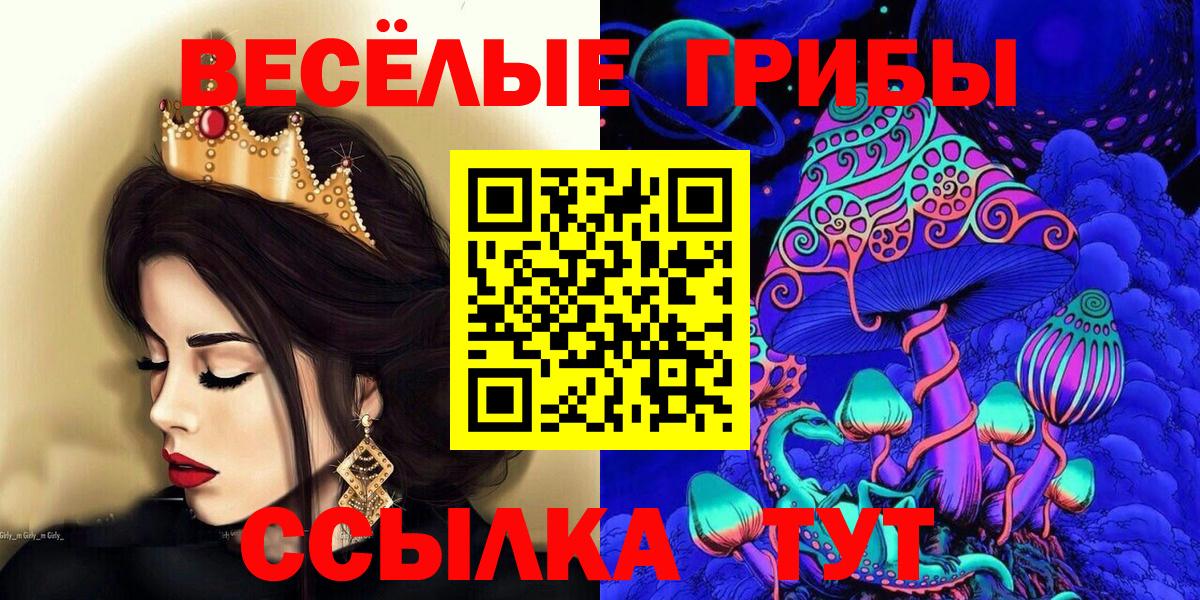 Зеленогорск  Псилоцибиновые грибы MAGIC MUSHROOMS  Вход с VPN  Галлюциногенные грибы GOLDEN TEACHER 